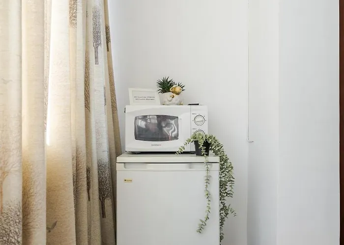 Downtown Happy Hippie Old Town *