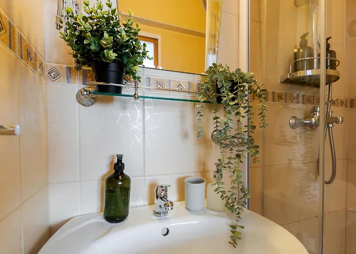 Downtown Happy Hippie Old Town