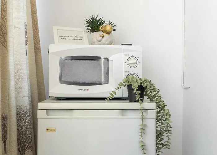 Downtown Happy Hippie Old Town *